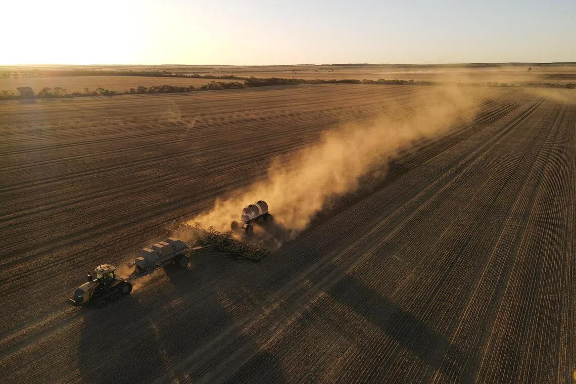 Wars in Iran and Ukraine along with El Nino are creating a perfect storm of higher costs and lower crop yields.