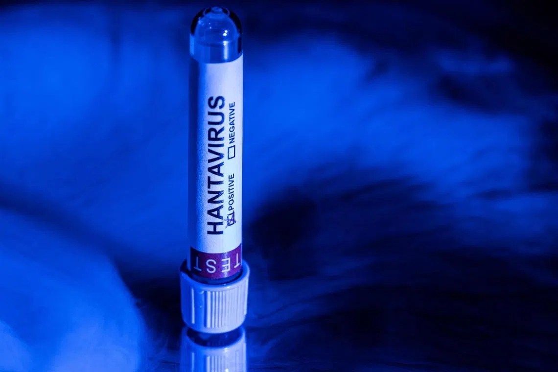 Sixteen more people in the US are being monitored for Hantavirus, CDC says