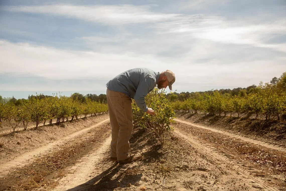 US to send dozens of farm companies to the Philippines in April trade mission