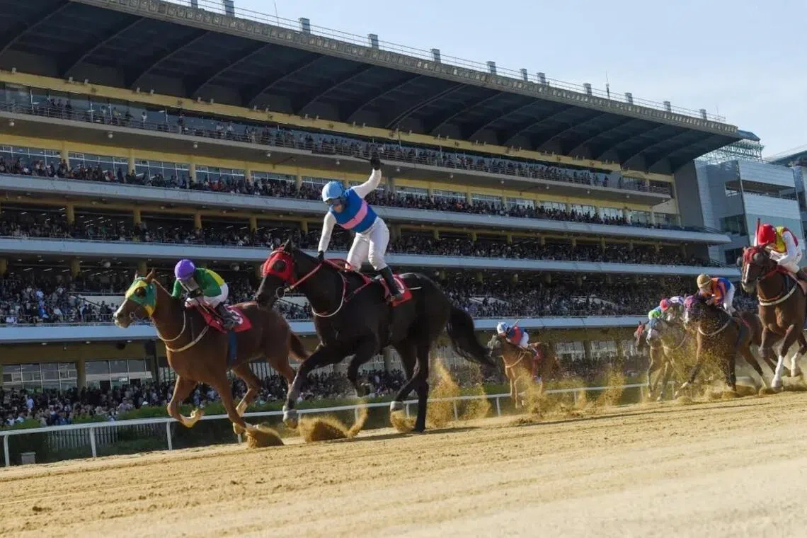 Born Dia (Seo Gang-ju) leading all the way to win the Group 2 Chairman’s Sprint (1,200m) at Seoul Racecourse on May 17. The Kwon Sung-ju-trained mare maps well for the last race at Busan slated as Race 15 on the Singapore Pools Korea card on July 19.
PHOTO:  KRA