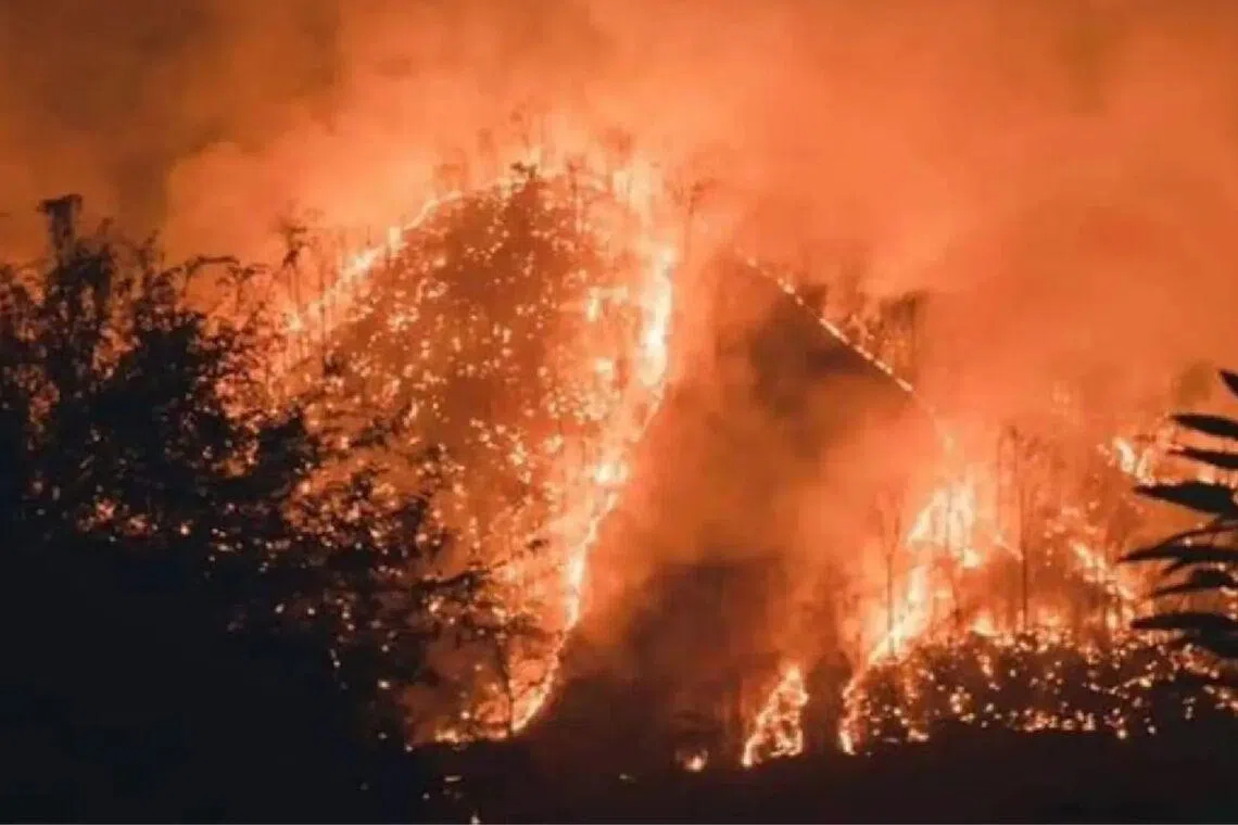 The authorities have been instructed to provide immediate assistance to affected residents, including livelihood support.