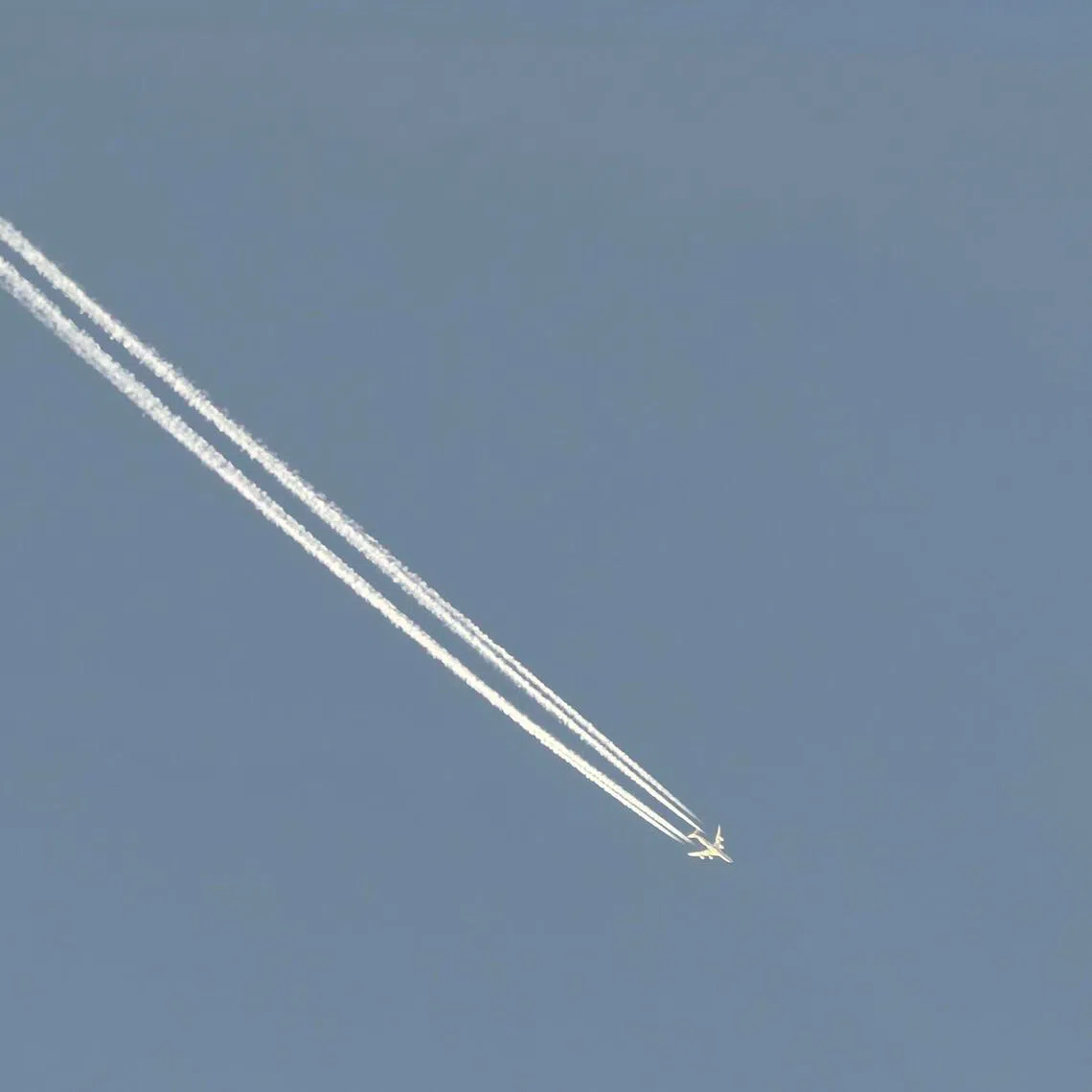 A contrail (condensation trail)  formed from aircraft engine taken from Gardens by the Bay on Jan 12, 2026.