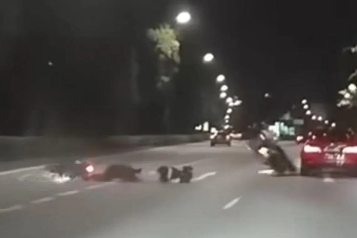 Dashcam footage showed a motorcycle colliding with another motorcycle, before veering into a car.