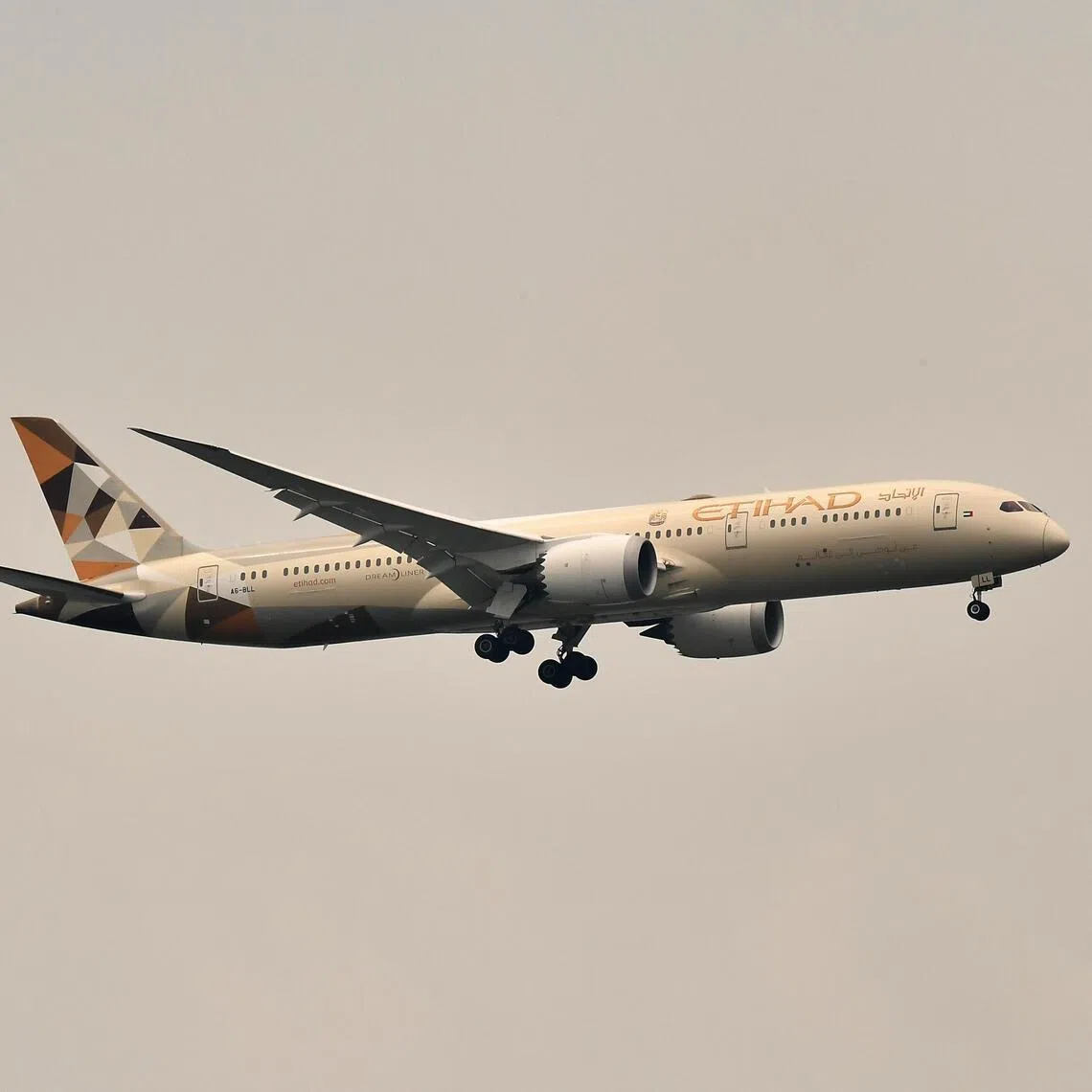 Etihad Airways aeroplane in the sky as viewed from Pulau Ubin on July 6, 2021.