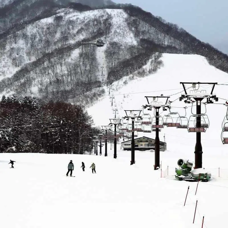 The woman had failed to dismount the chairlift. 