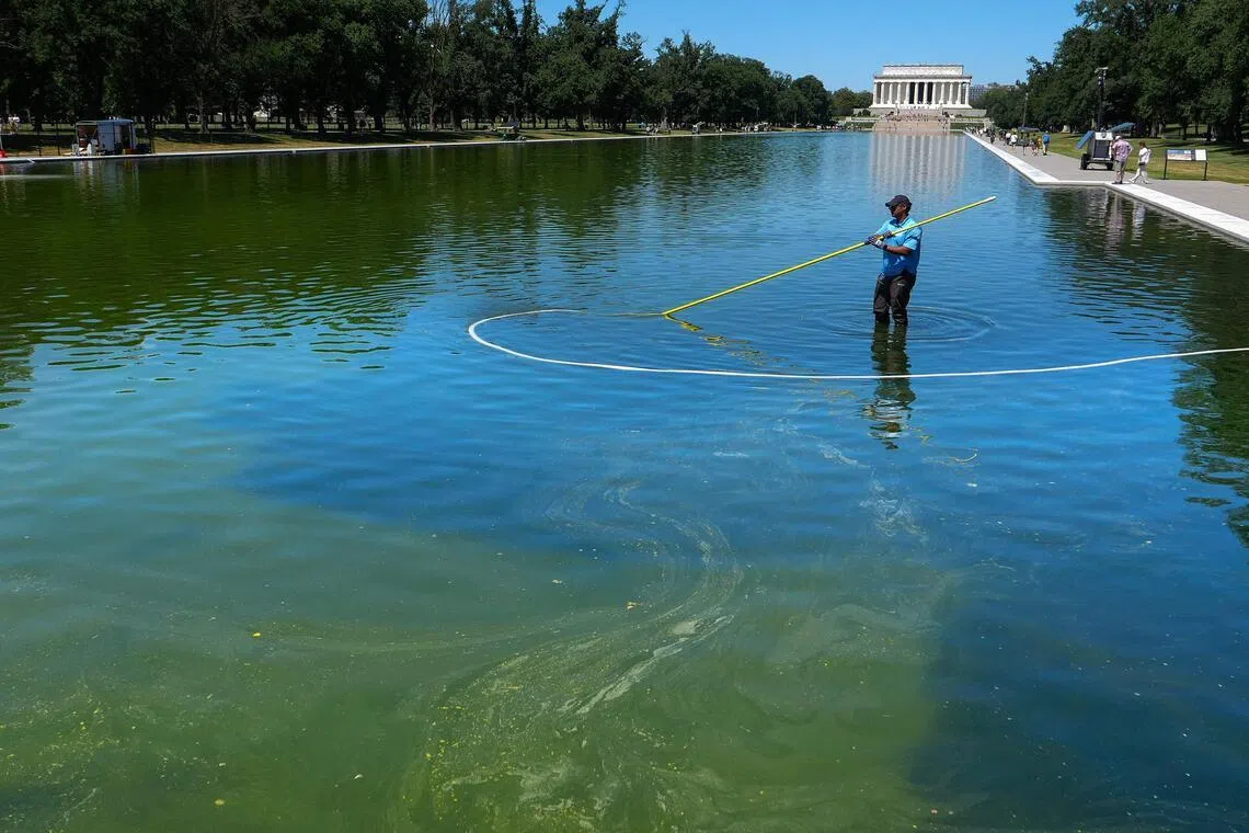 A US National Park Service employee uses a vacuum pump to clean algae off the bottom of the newly repainted Lincoln Memorial Reflecting Pool on the National Mall on June 16.