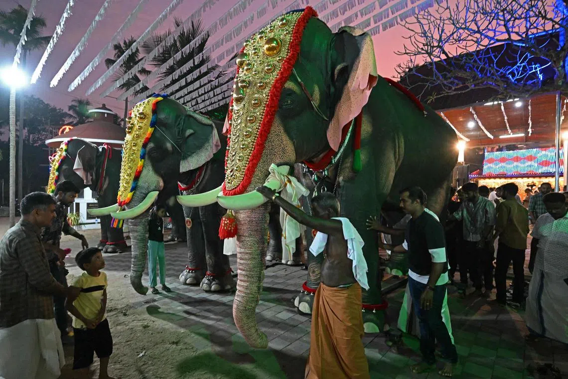 Adorned robotic elephants newly provided by the Voice for Asian Elephants Society are placed outside the Chakkamparambu Bhagavathy temple in Thrissur, in India's Kerala state. 