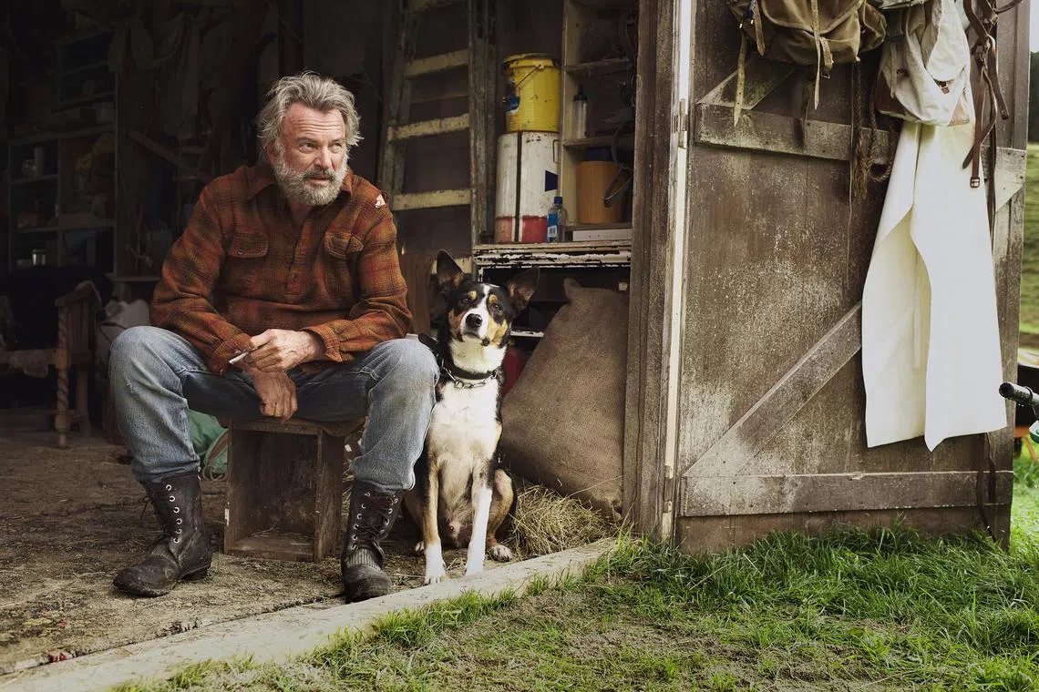 Sam Neill in Taika Waititi’s 2016 film Hunt For The Wilderpeople.