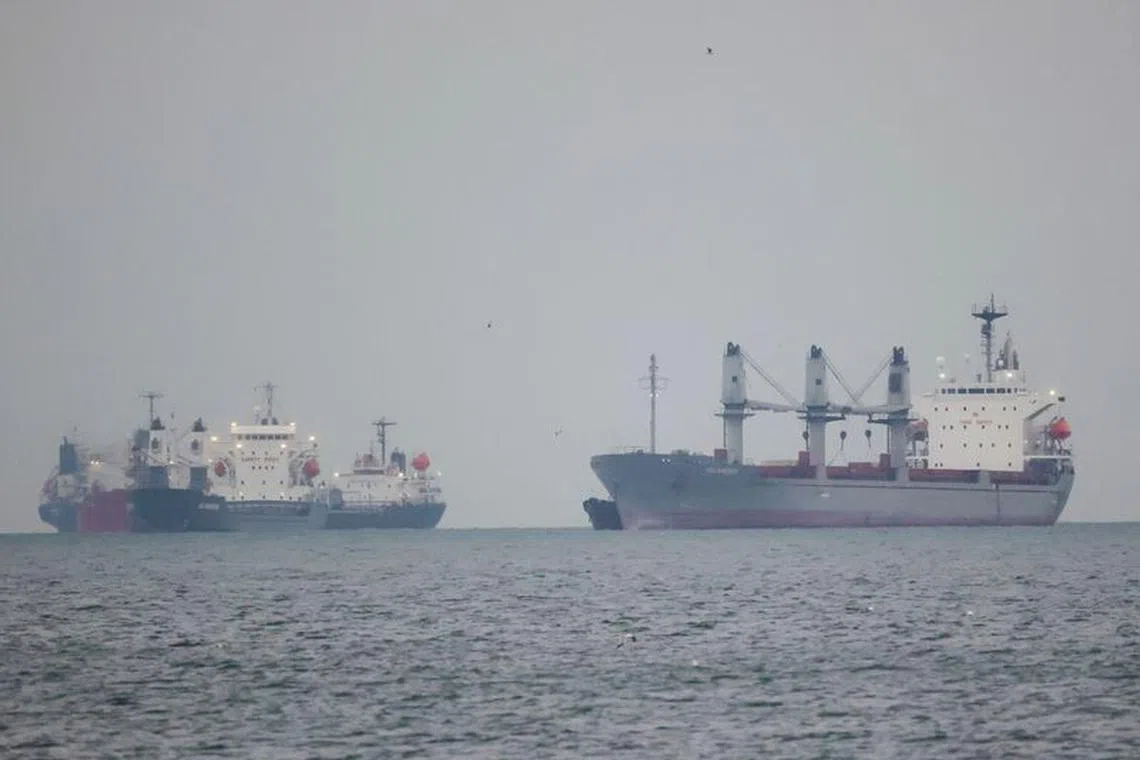 FILE PHOTO: Vessels, carrying grain under UN's Black Sea Grain Initiative, wait for inspection in the southern anchorage of Istanbul, Turkey May 12, 2023. REUTERS/Yoruk Isik/File Photo