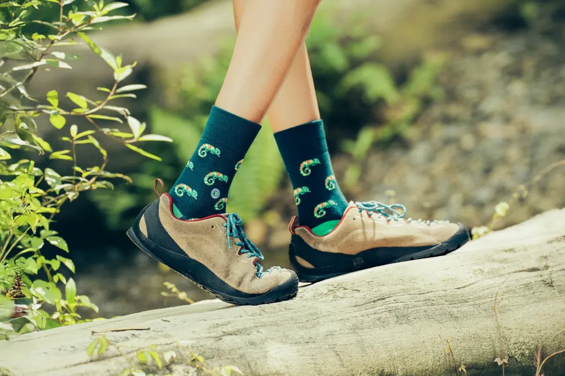 mandai wildlife reserve talking toes socks