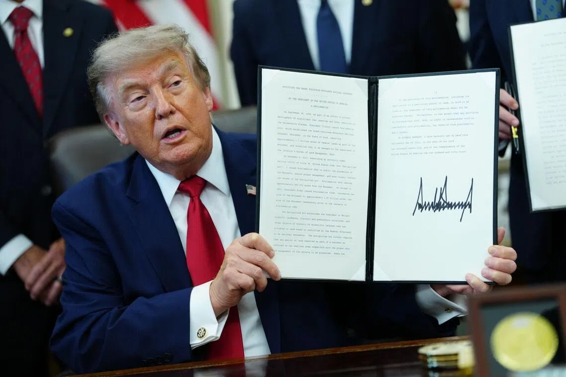 straitstimes.com - US to launch AI and cybersecurity coordination group, White House says