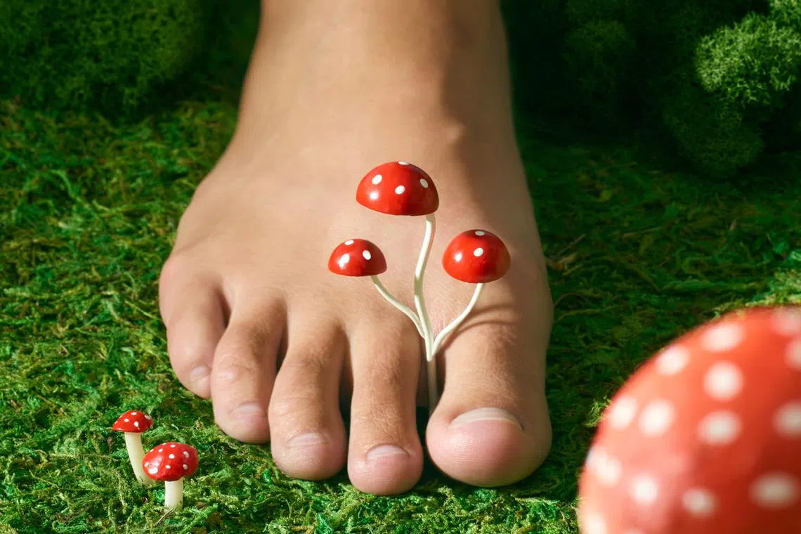 As unsightly as it is, toenail fungus is usually manageable, but only with the right treatment. 