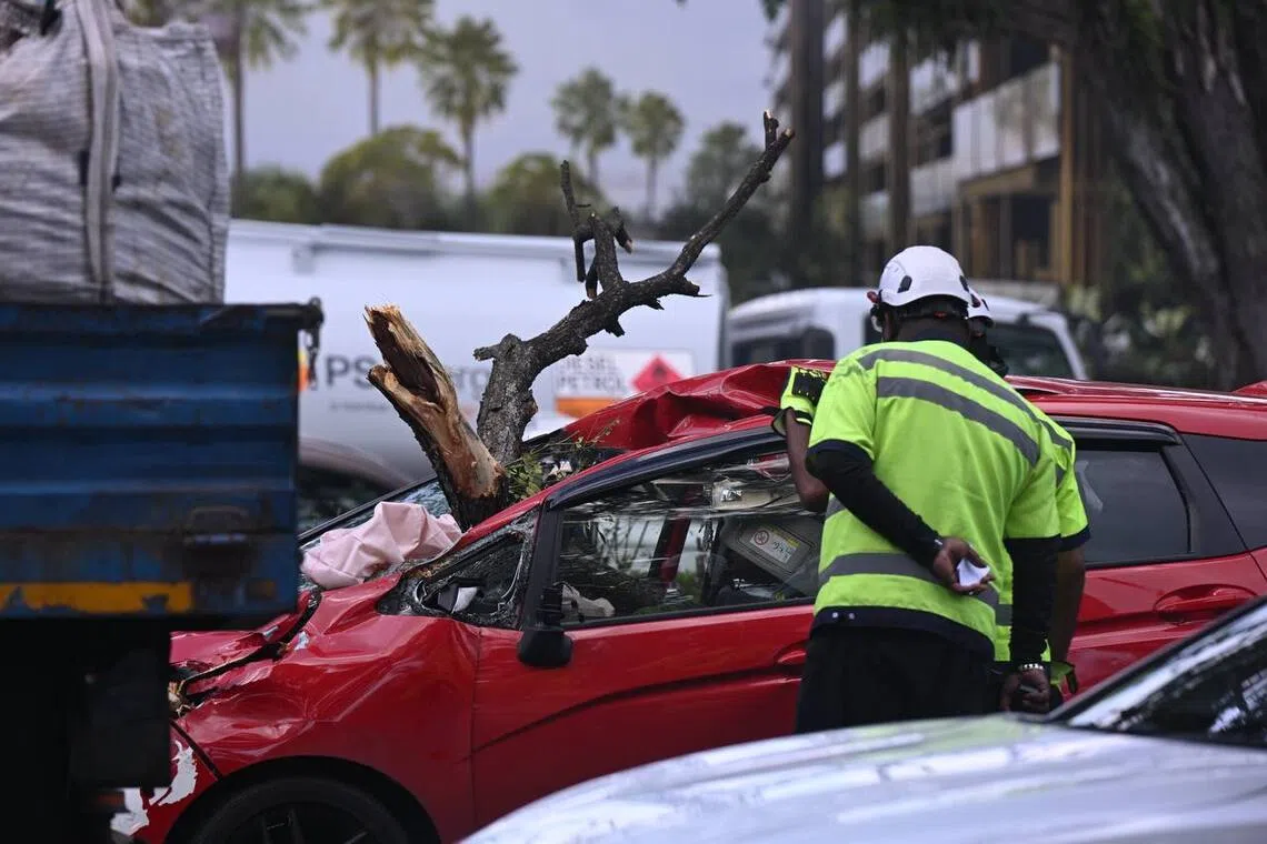 3 taken to hospital after large tree branch falls on cars on ECP
