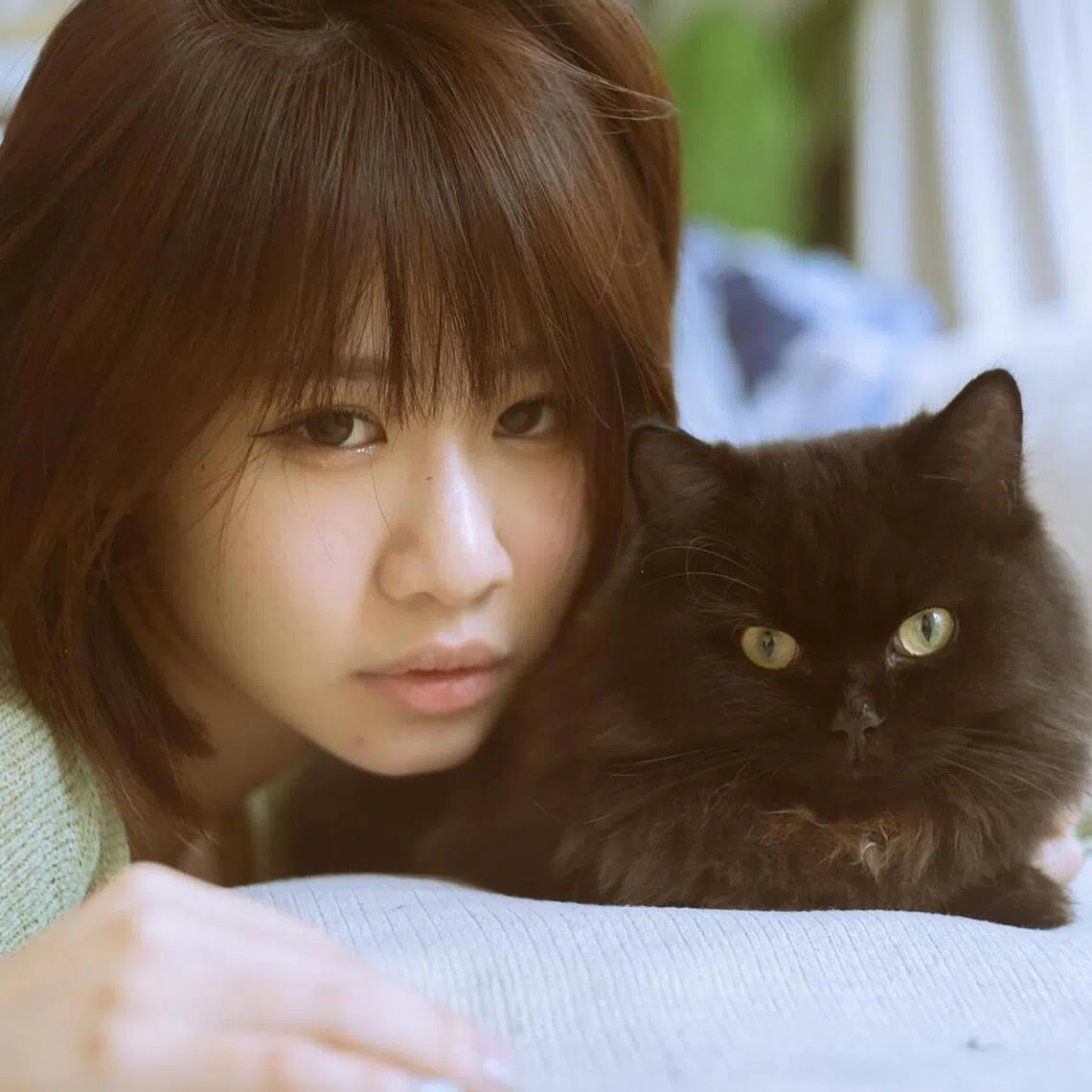 jsruru15 - Singaporean cosplayer Rurusama with Lucifer, her three-year-old Siberian munchkin.


SOURCE / COPYRIGHT: PHOTO: COURTESY OF RURUSAMA