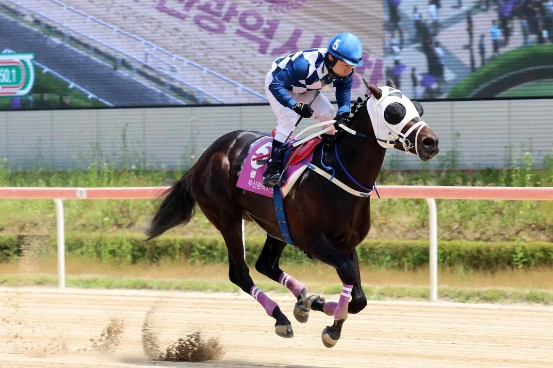 Jockey Seo Seung-un enjoying an armchair ride as Clean One romps away to a six-length win in the Group 2 Busan Mayor's Cup (1,800m) in Busan on May 24.