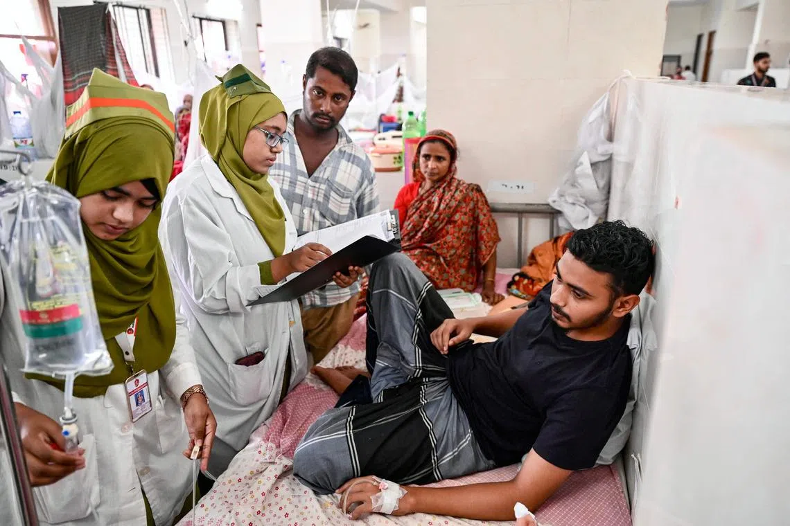 More than 7,900 people across the globe have died so far in 2024 due to dengue fever.