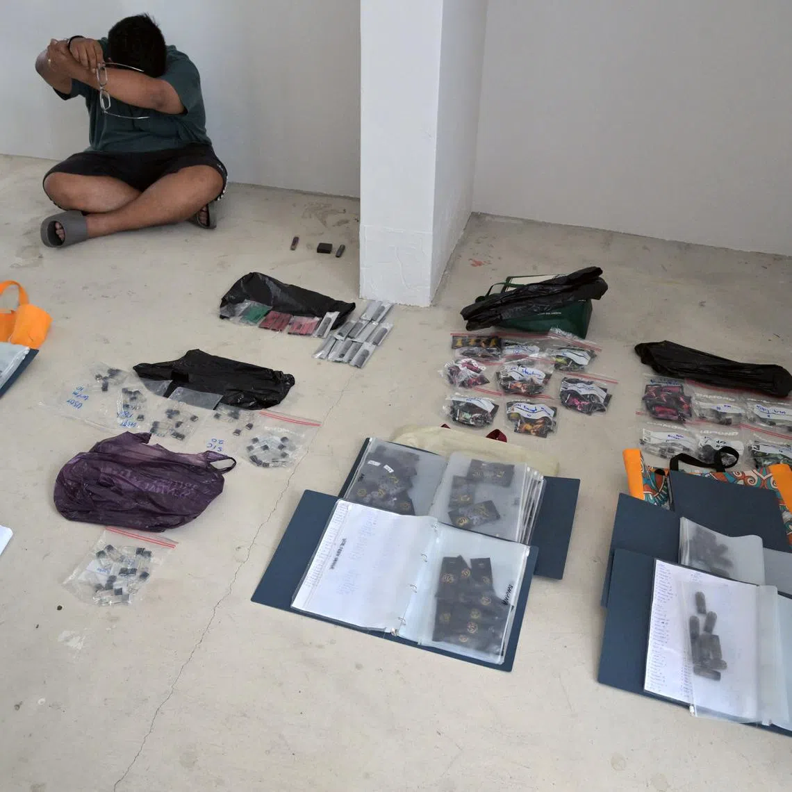 Enforcement action by the Health Sciences Authority netted a suspect and various vapes on July 10.