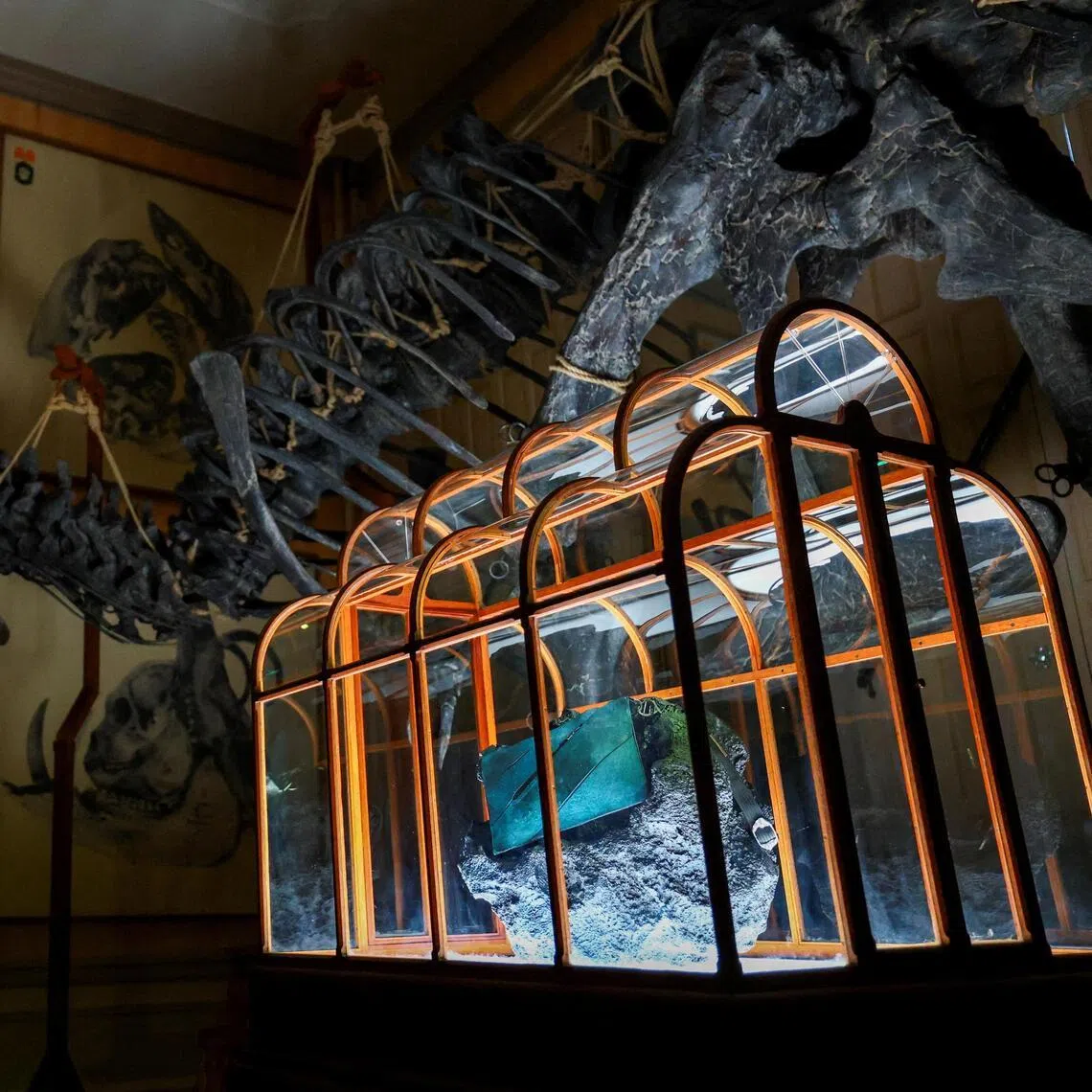 Scientists derived collagen from  Tyrannosaurus rex fossils to make the teal-coloured handbag, on display at Amsterdam’s Art Zoo museum.