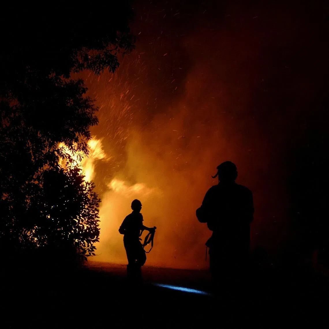 Firefighters battle a wildfire in Palembang, South Sumatra, Indonesia, on Aug 11.