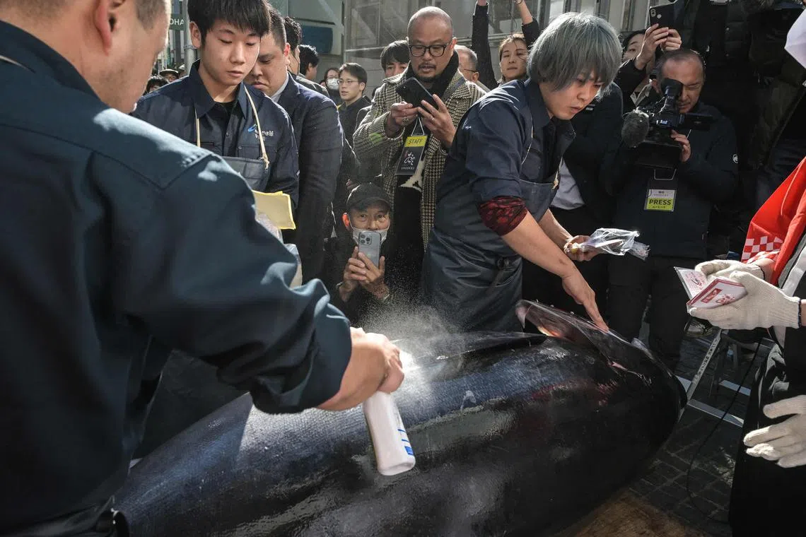 Members of the media crowd around as a 238kg bluefin tuna that was sold for US$788,440 (S$1.05 million) at the first tuna auction of the New Year is watered down outside the Sushi Ginza Onodera main store in Omotesando, Tokyo on January 5, 2024.