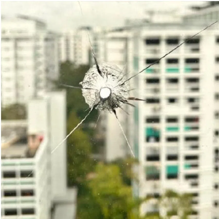The man had used a catapult to shoot marbles at a flock of birds in the area, with one marble striking the unit’s window, damaging it in the process.