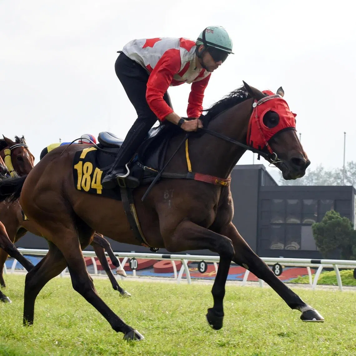 Banker's Kingdom - Banker's Kingdom


PHOTO: SELANGOR TURF CLUB