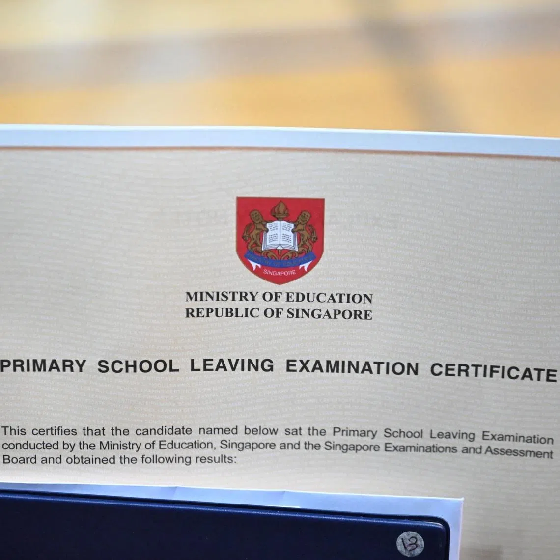 Society needs to learn that the PSLE is only one small drop in the ocean of assessments and performances. 