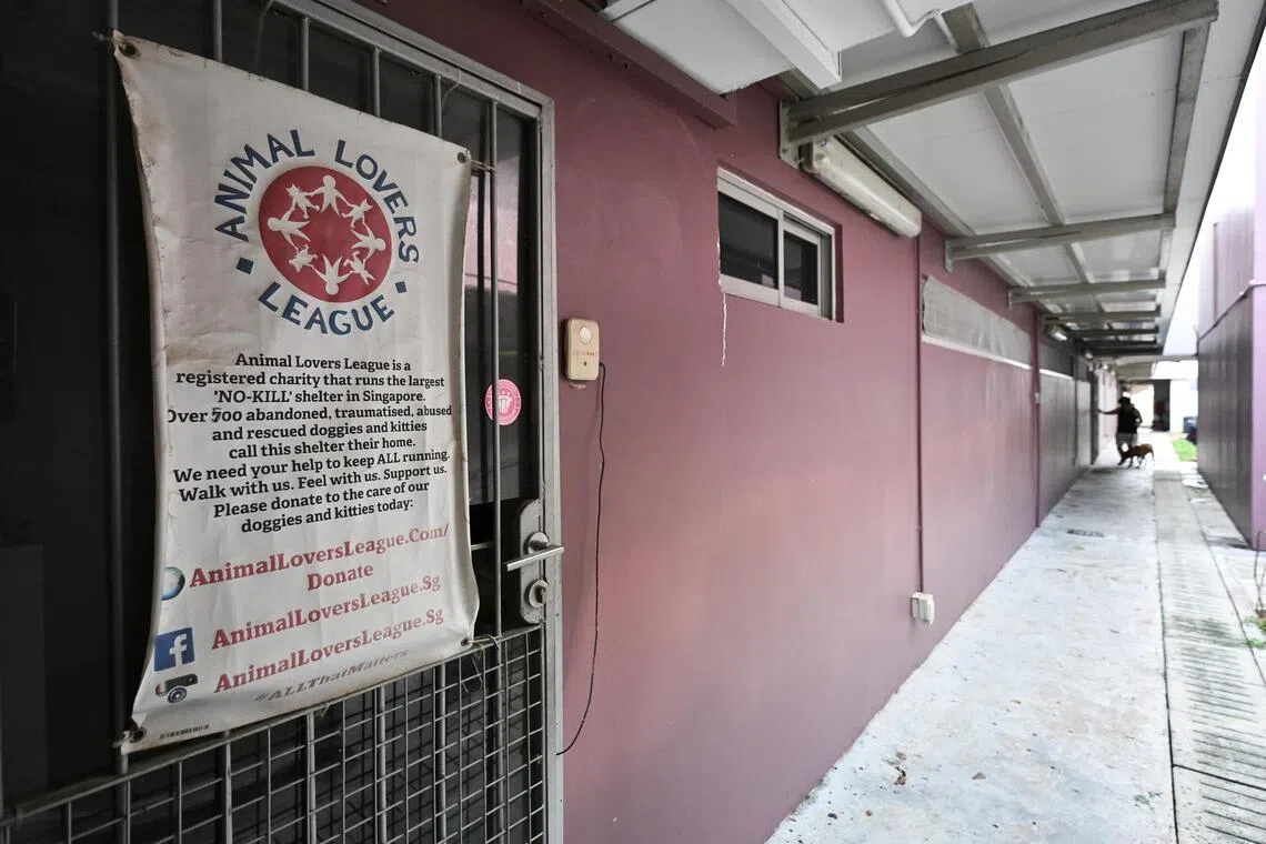 Voices for Animals will take in cats from Animal Lovers League, which has been ordered to leave its premises at The Animal Lodge, on March 27.