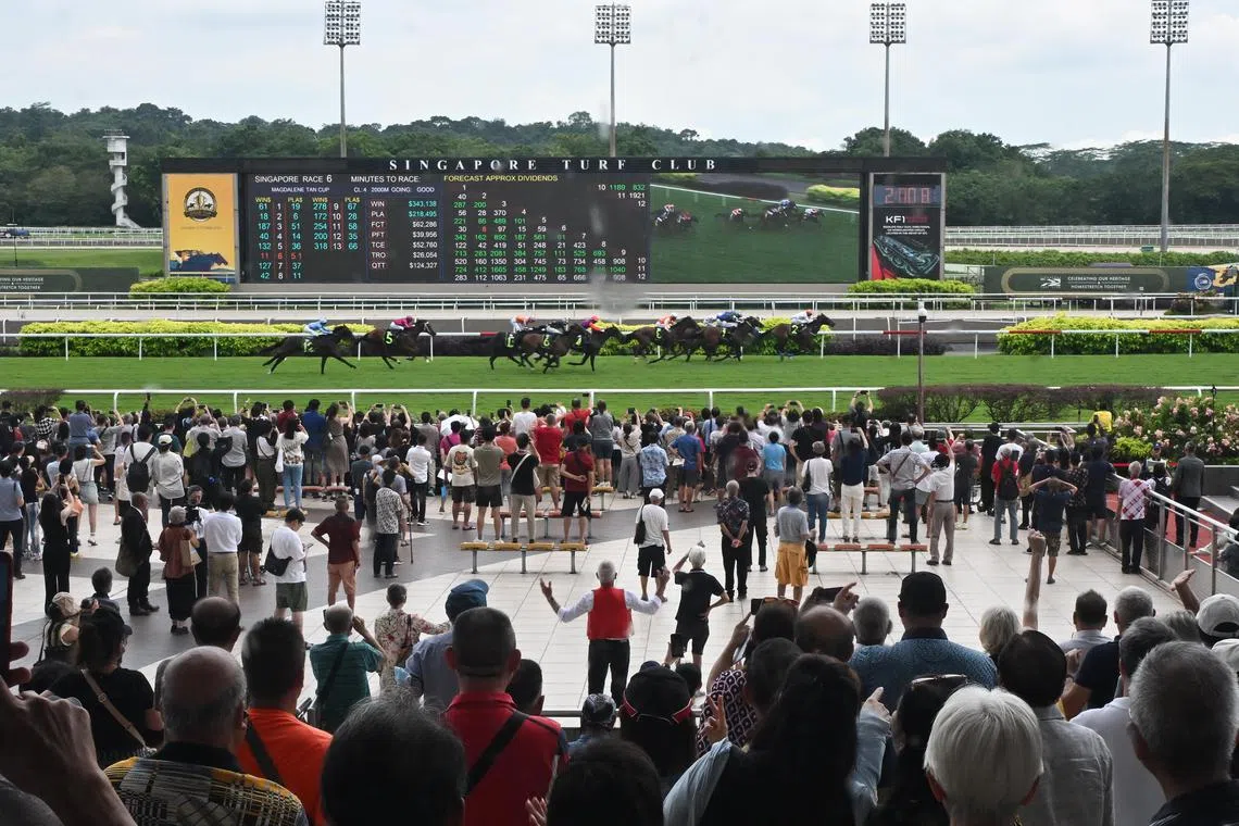 Punter and members of the public watching Race 6: Magdalene Tan Cup at Singapore Turf Club on Oct 5, 2024. 
