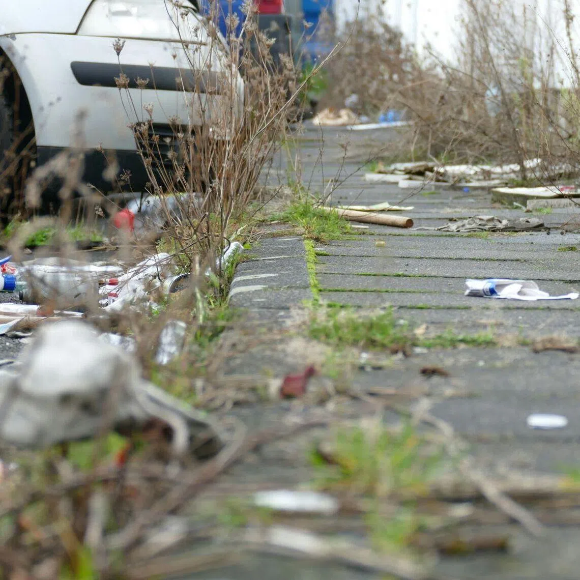 Malaysia's Housing and Local Government Minister Nga Kor Ming has said he wants Malaysia to be even cleaner than Singapore.