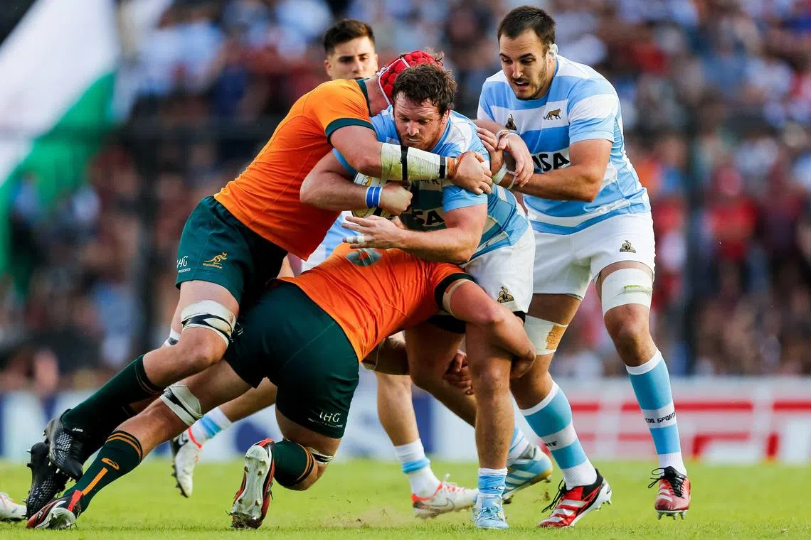 Argentina hooker Julian Montoya is tackled by Australia's No. 8 Harry Wilson and lock Jeremy Williams in their Rugby Championship match at Brigadier General Estanislao Lopez Stadium in Santa Fe on Sept 7, 2024.