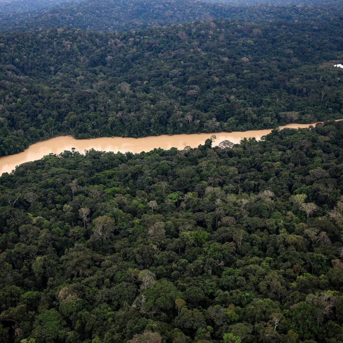 Left-wing president  Luiz Inacio Lula da Silva, who will seek re-election in October, has vowed to end illegal deforestation by 2030.