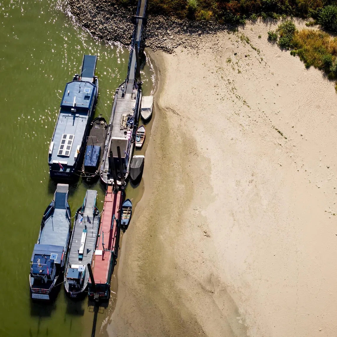 A pedestrian ferry has been taken out of service due to low water levels on the Rhine in the Netherlands on Aug 12.