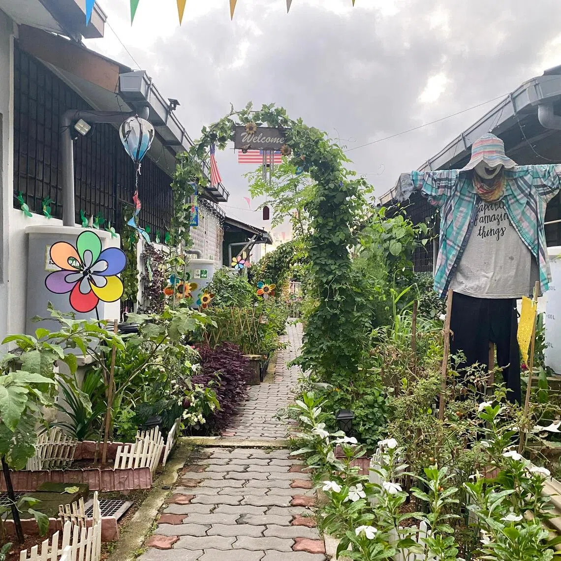 Urban farming has sprouted across Malaysia since the Covid-19 pandemic exposed how quickly supply disruptions and income loss can strain urban families,