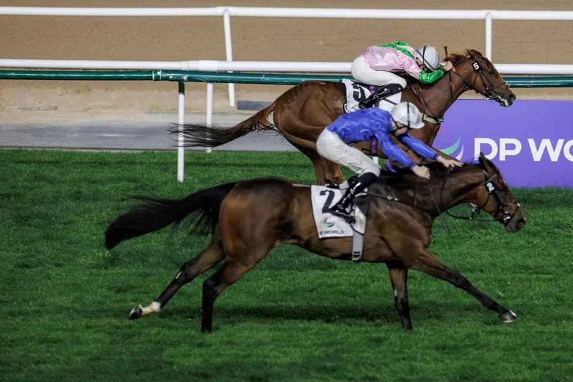 The Ed Walker-trained Fort George (Kieran Shoemark, on rail) clawing his way back to the front to narrowly edge Arabian Light (Billy Loughnane) out in the Group 3 Dubai Millennium Stakes (2,000m) at Meydan on Jan 30.

