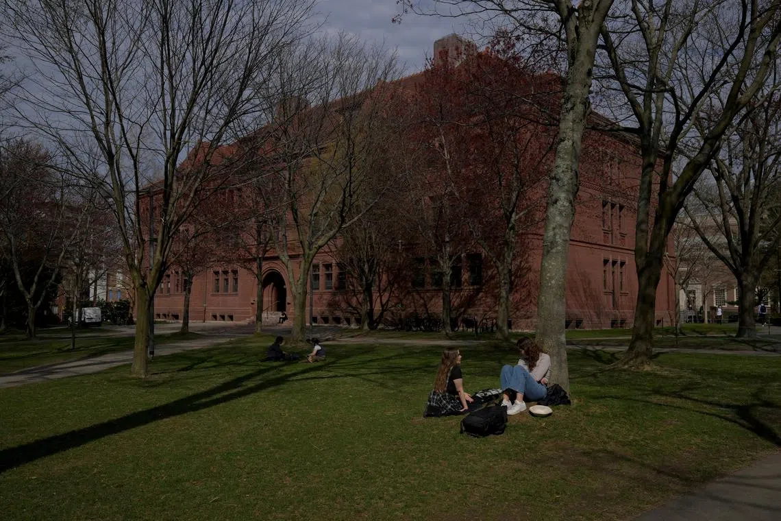 FILE PHOTO: People sit on the grass at the campus of Harvard University in Cambridge, Massachusetts, U.S., April 15, 2025.   REUTERS/Faith Ninivaggi/File Photo