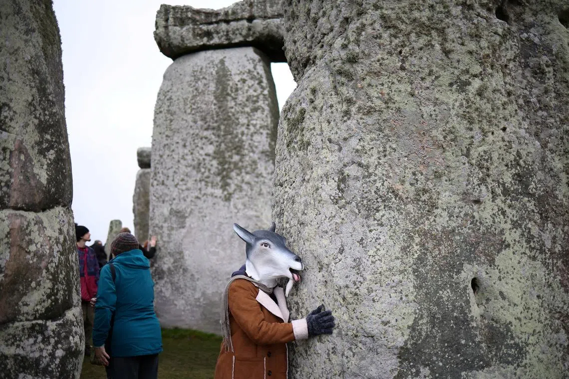 A person wearing an animal mask touches the stones during winter solstice celebrations at Stonehenge near Amesbury, Britain, November, December 22, 2022. 