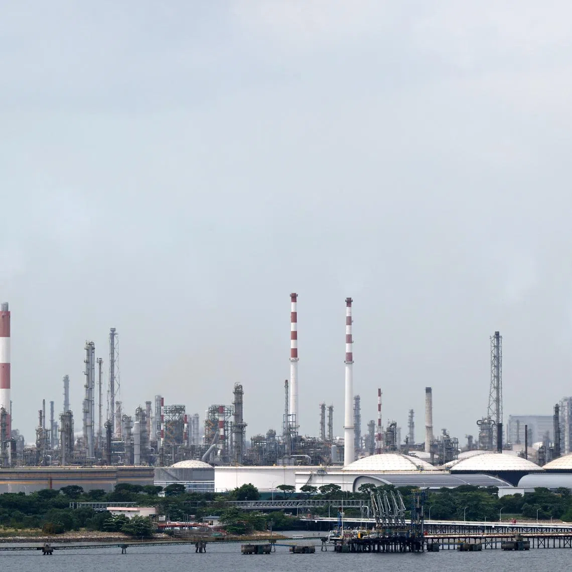 The infrastructure for the upcoming plant by PacificLight will be built on vegetated land on the emptier western side of the industrial island.