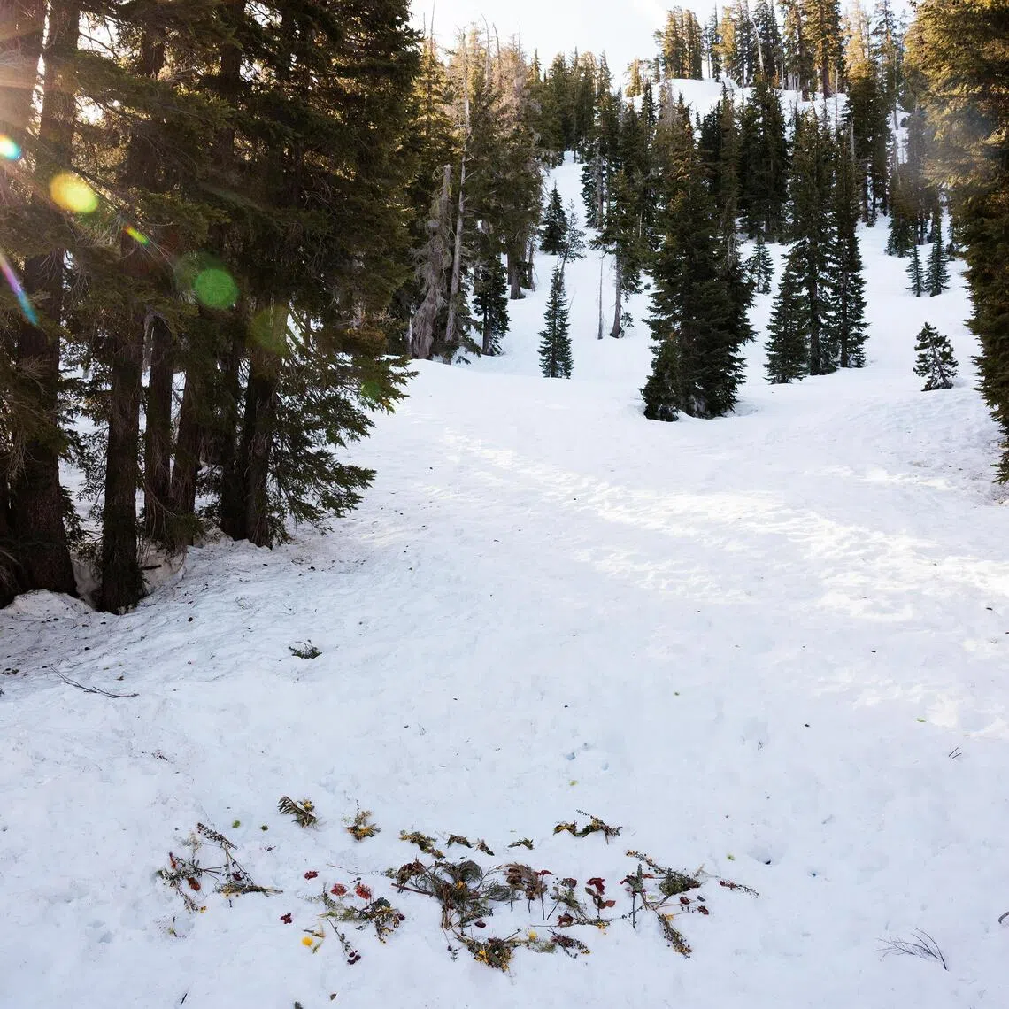 Flowers left in the area in the Sierra Nevada range where nine backcountry skiers were killed by an avalanche in February 2026.