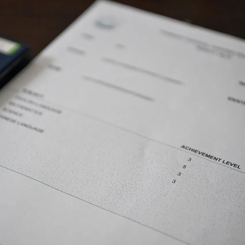 Under the new system, each pupil is given AL scores from one to eight for each subject, in place of grades like A* to E.