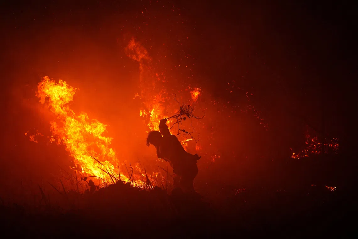 A firefighter uses a tree branch to try and douse the flames amid a wildfire in Palembang, South Sumatra province, Indonesia, September 8, 2026. REUTERS/Abriansyah Liberto
