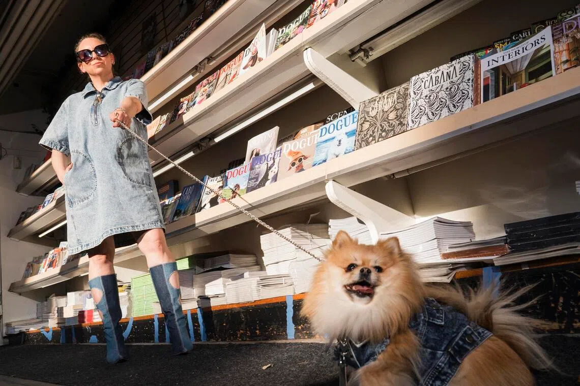 Vogue sues canine fashion magazine Dogue, alleging a copycat