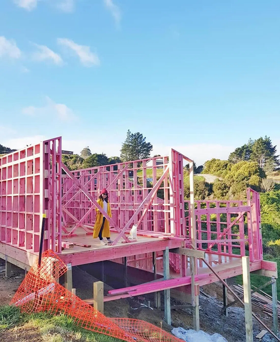 Building, construction, tiny home, New Zealand
