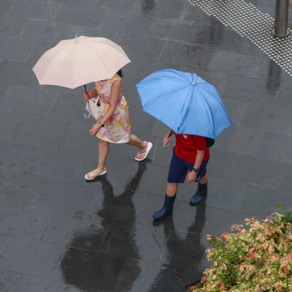 Rain fell across Singapore throughout the afternoon and into the evening on Feb 19.