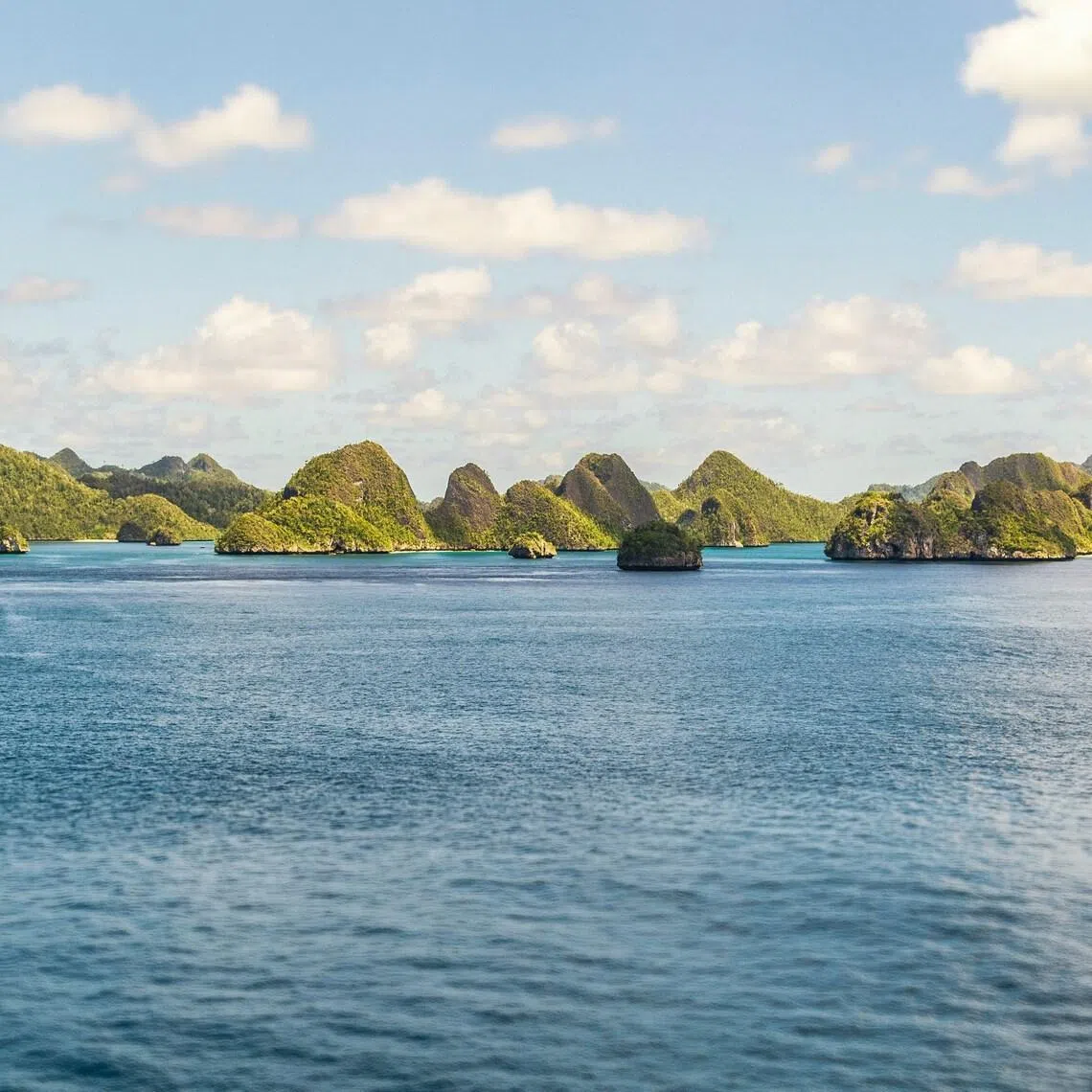 Palau agreed in December to resettle up to 75 deportees in exchange for US$7.5 million (S$9.72 million).