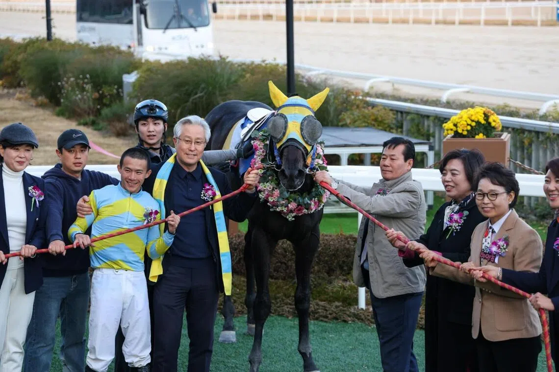 Choi Yong-geon - Choi Yong-geon (right) earned his first silverware when combining with owner Woo Tae-yul (in scarf) and Malaysian jockey Wong Chin Chuen, winning the Listed Gwacheon Mayor’s Trophy (1,200m) in Seoul on Nov 16, 2025, with top juvenile Geudaemaniddamyeon. The Seoul trainer has a strong chance with another Woo-owned galloper in Gamsaui Him in the Class 3 (1,600m) in Seoul on Sept 19. With Wong back in Malaysia, Choi has booked Japanese jockey Kazuya Asano for Saturday's job.

PHOTO:  KRA
