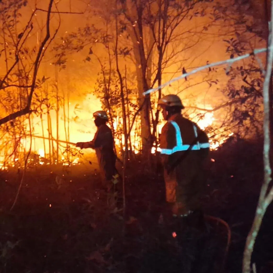 Indonesian firefighters working to contain the blazes and prevent them from spreading further on March 25.