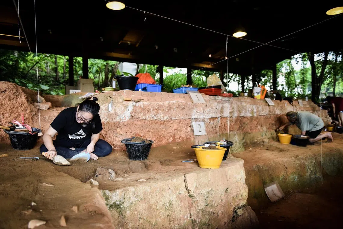 NTU undergraduate student research assistant Ms Caroline Ang on the last day of an archaeological dig at Fort Canning Park on 28 October 2018. Ms Ang found a rare piece of Thai ceramic at the site.
