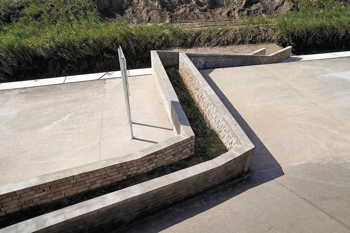 Construction of the corridor began in March and was designed to mimic conditions suitable for the crabs.