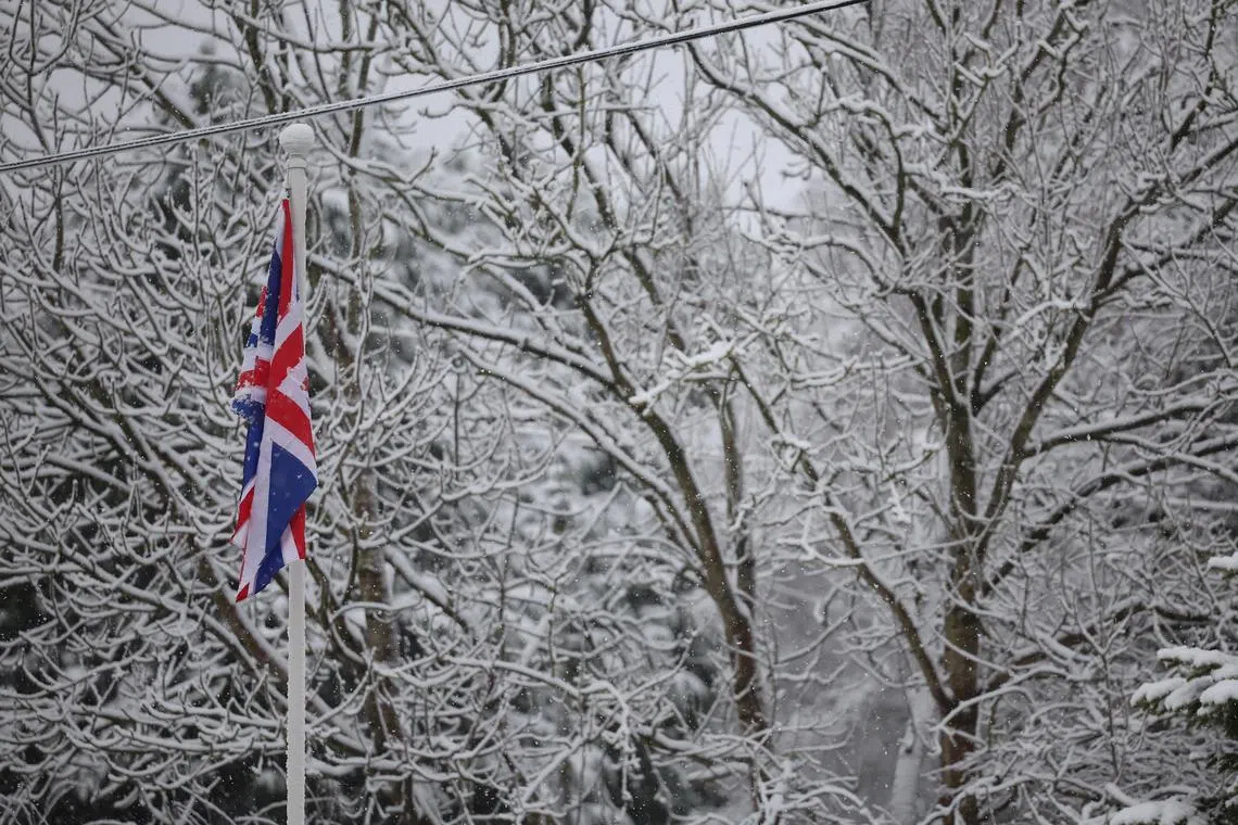 Snow covers the branches of trees in Newcastle-Under-Lyme, Britain, on Nov 19.